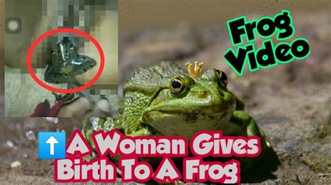 frog in vagina video|SHOCKER: Watch Video Of Frog Coming Out Of A Woman’s。